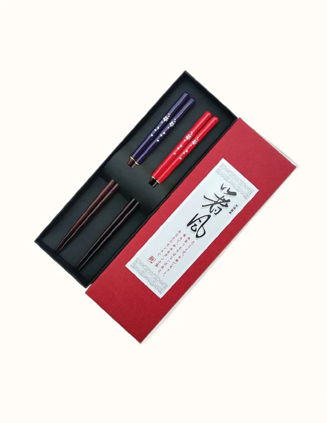 Baguettes Chinoises en Bambou Biologique