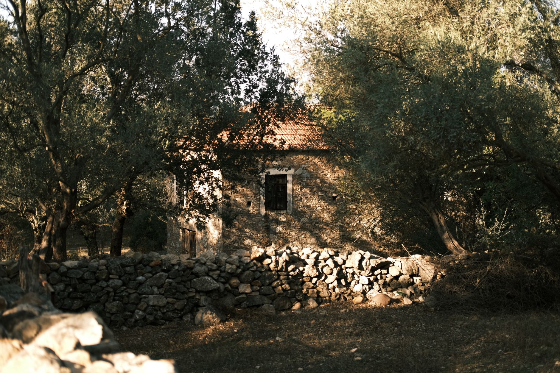 Maison en pierre entourée d