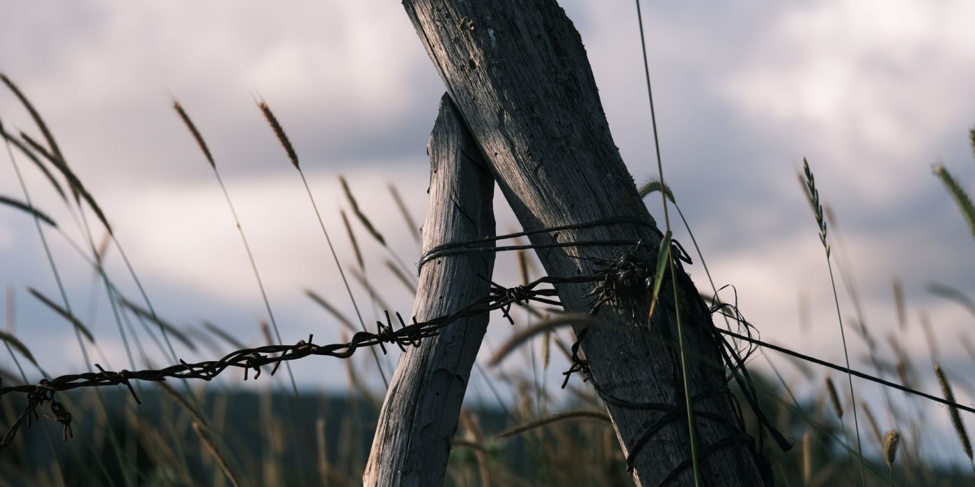 Huile de vidange sur bois : peut-on l’utiliser ?